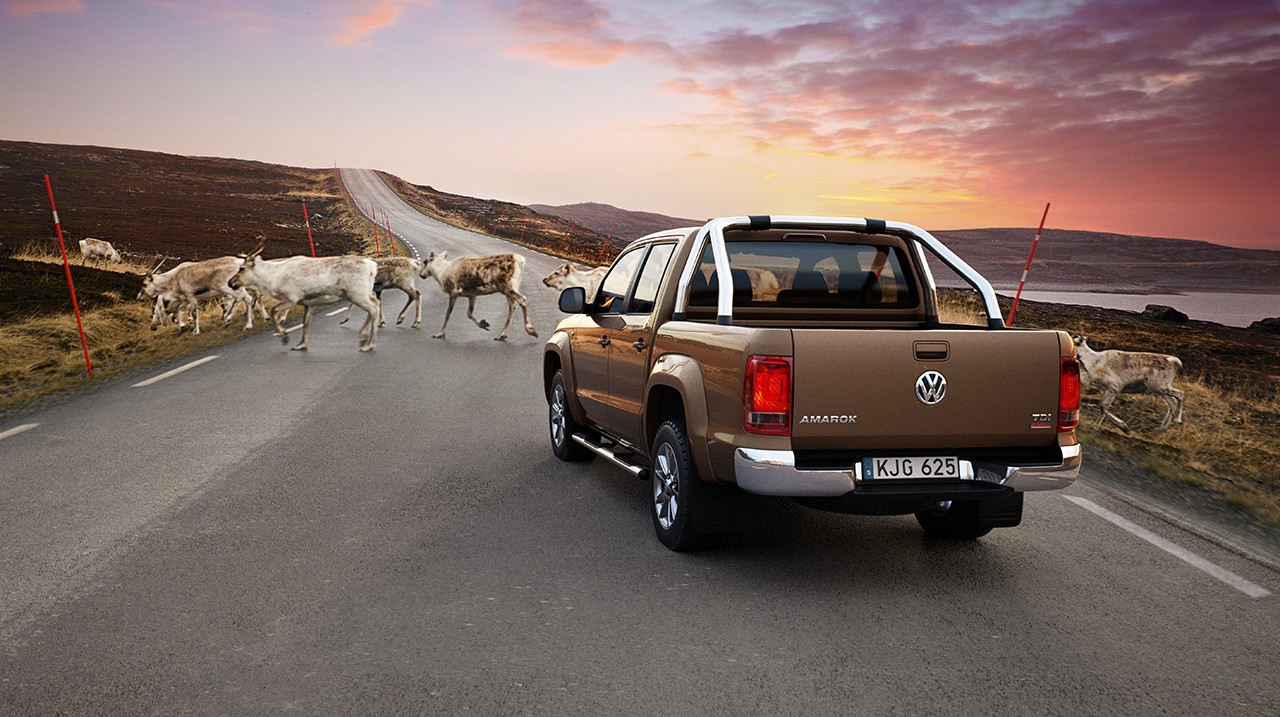 Volkswagen Amarok on the road with reindeers in the night on the mountain renar på fjället 