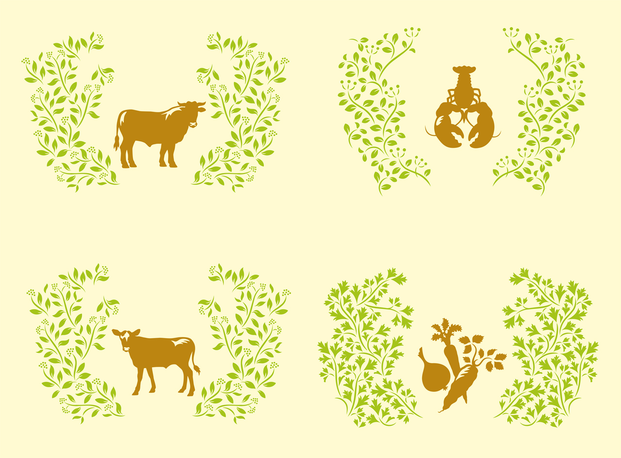 Illustrations labels for the product Touch of Taste