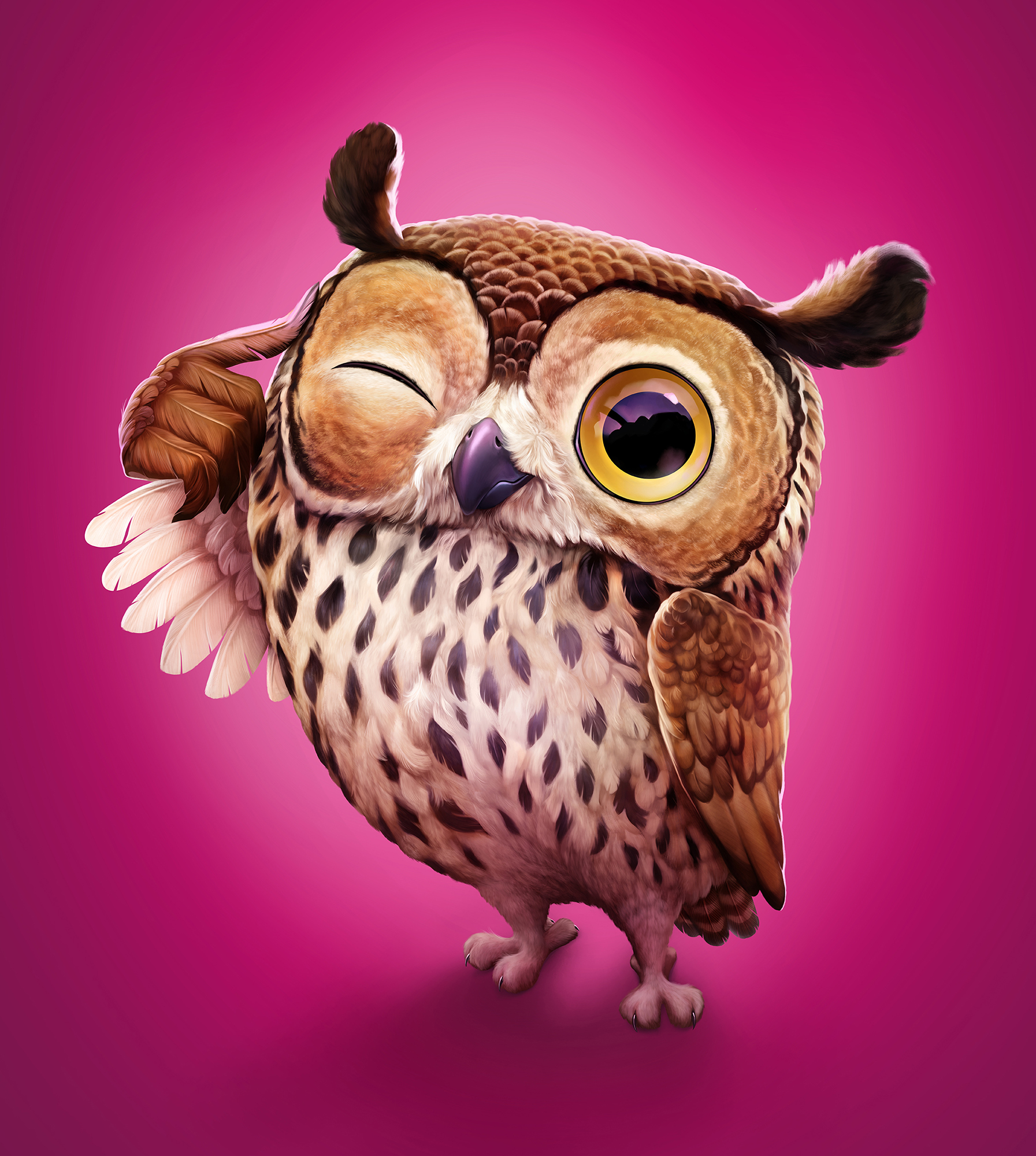 owl