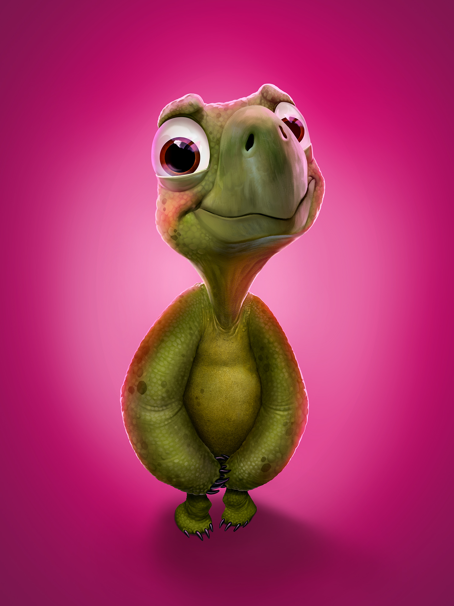 tortoise