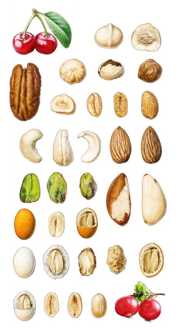 Nuts and fruits for Estrella package cherry almond hazelnut peanut pistage pistachio körsbär nötter hasselnöt mandel cashew jordnötter tranbär