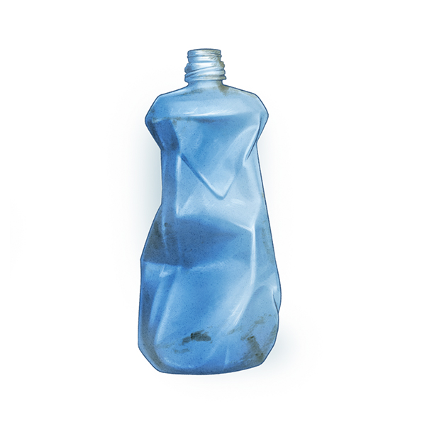 fisk plast skolplansch poster natur 