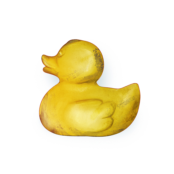 fisk plast skolplansch poster natur 