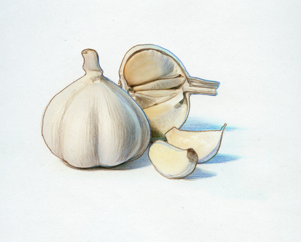 No alt text available