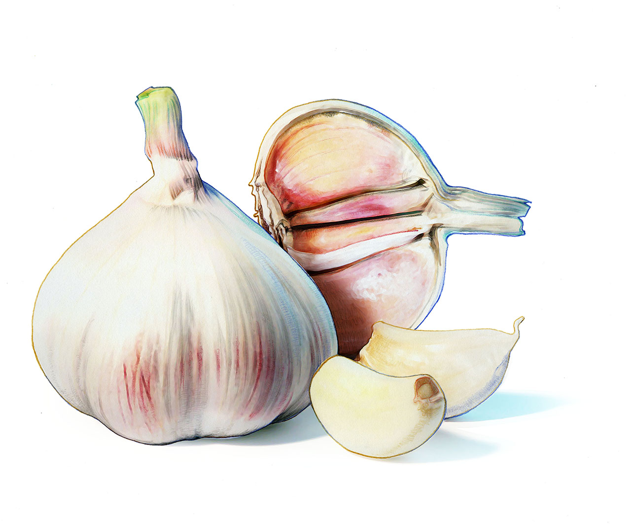 No alt text available