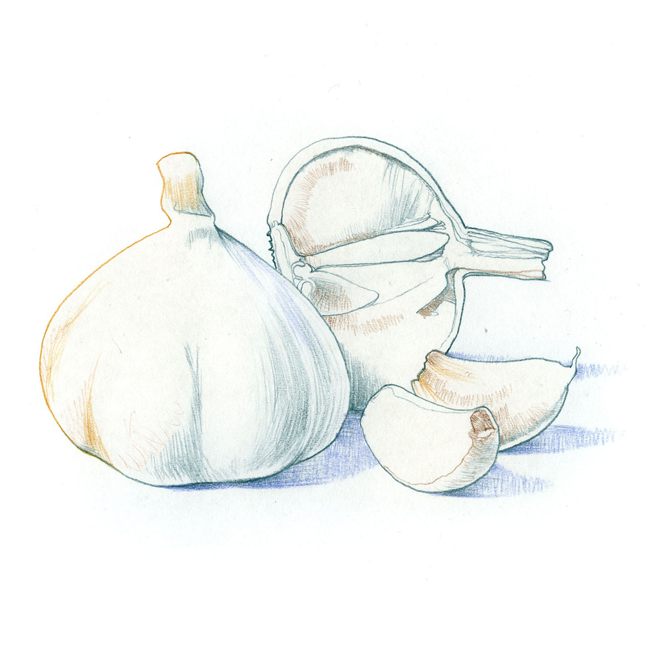 No alt text available