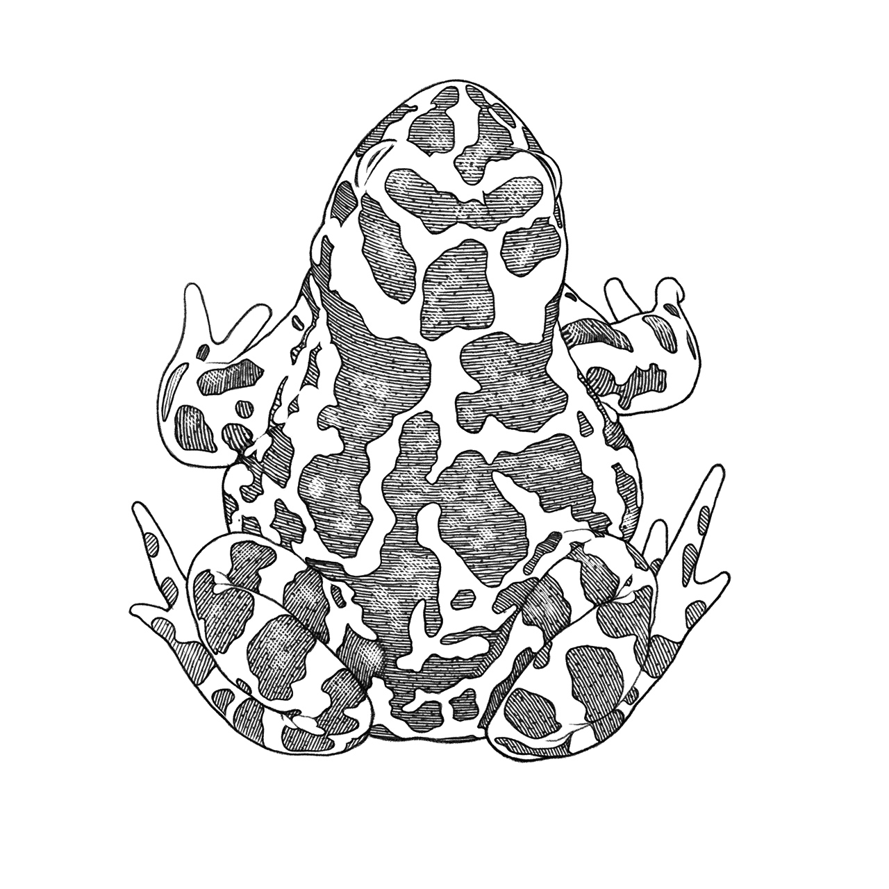 No alt text available