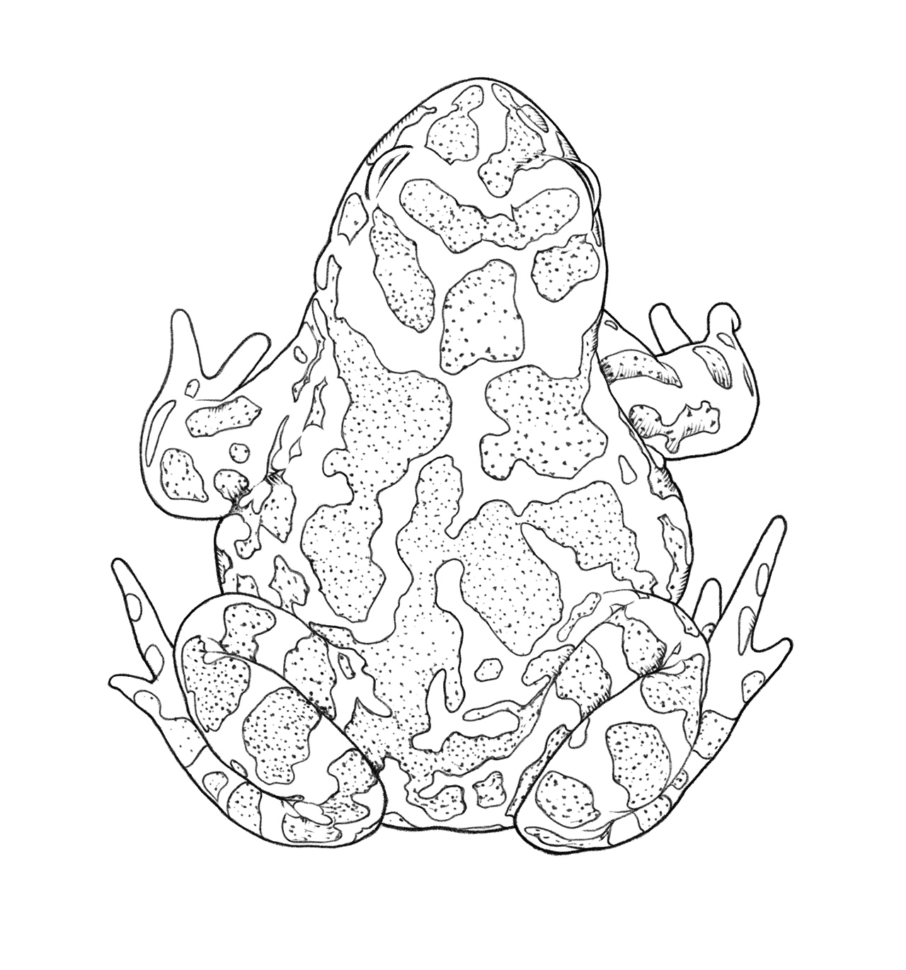 No alt text available