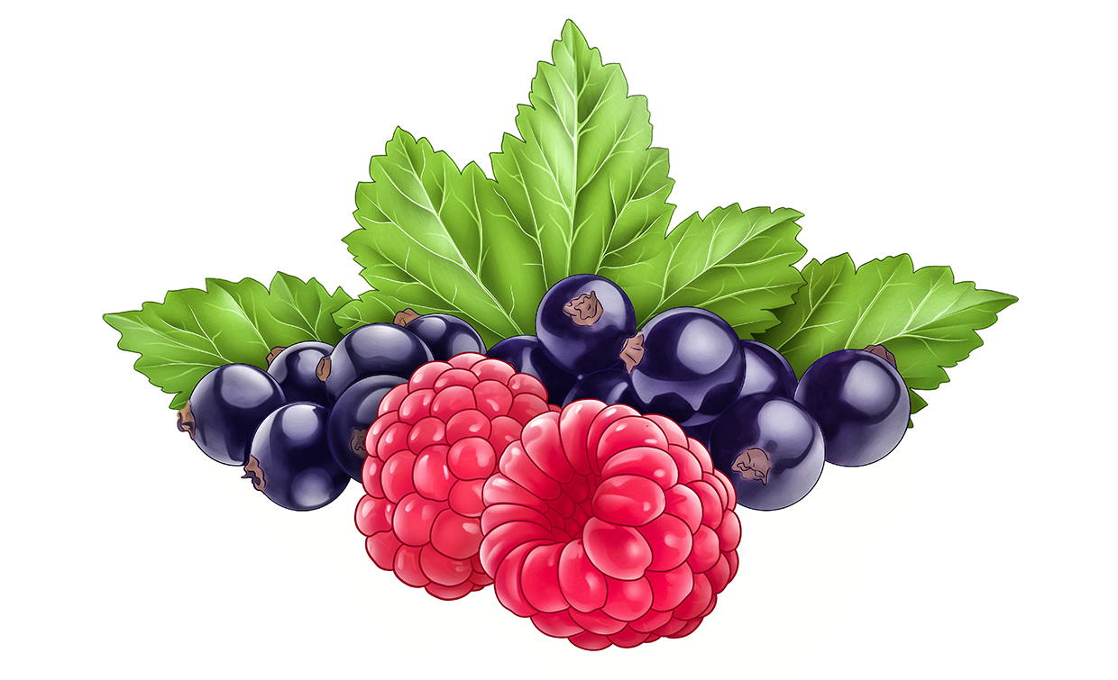 Hallon svartvinbär nature bär berry raspberry package design 