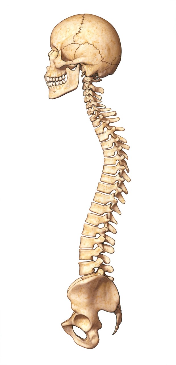 No alt text available