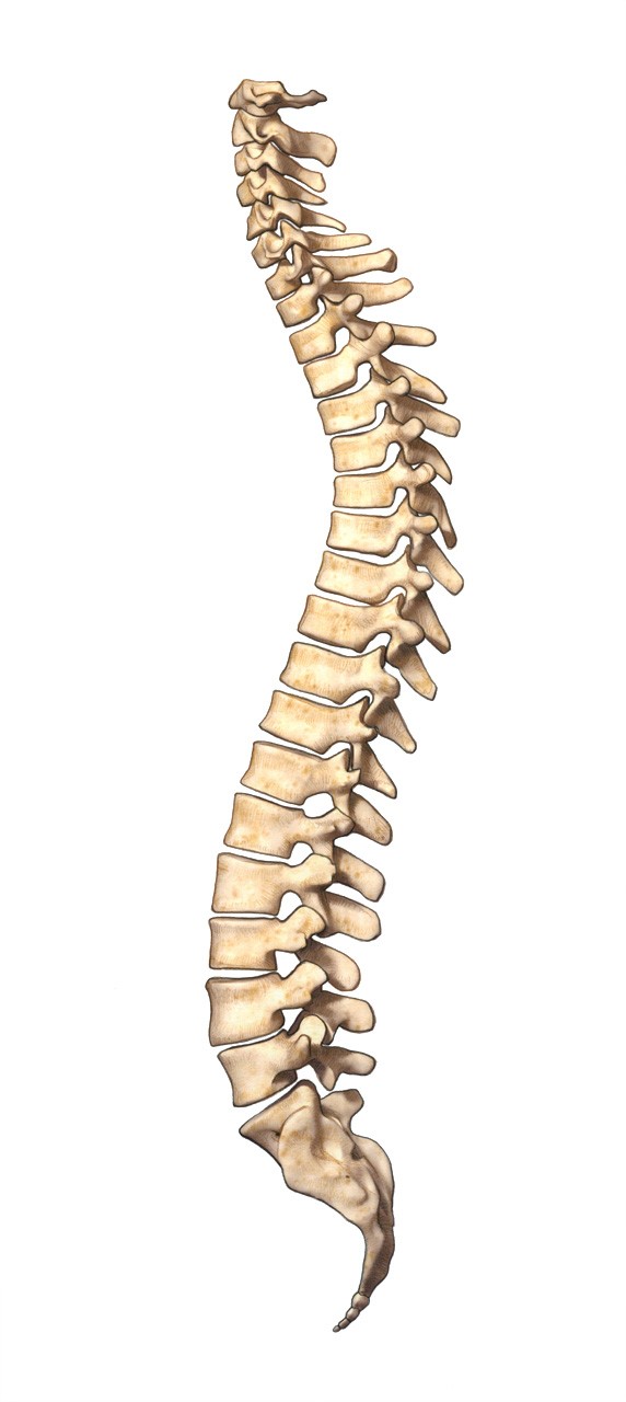 No alt text available