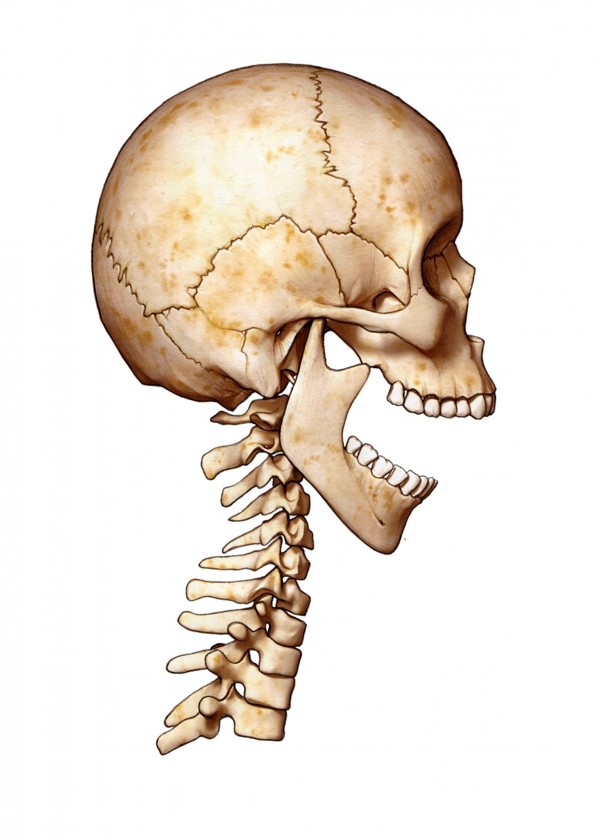 No alt text available