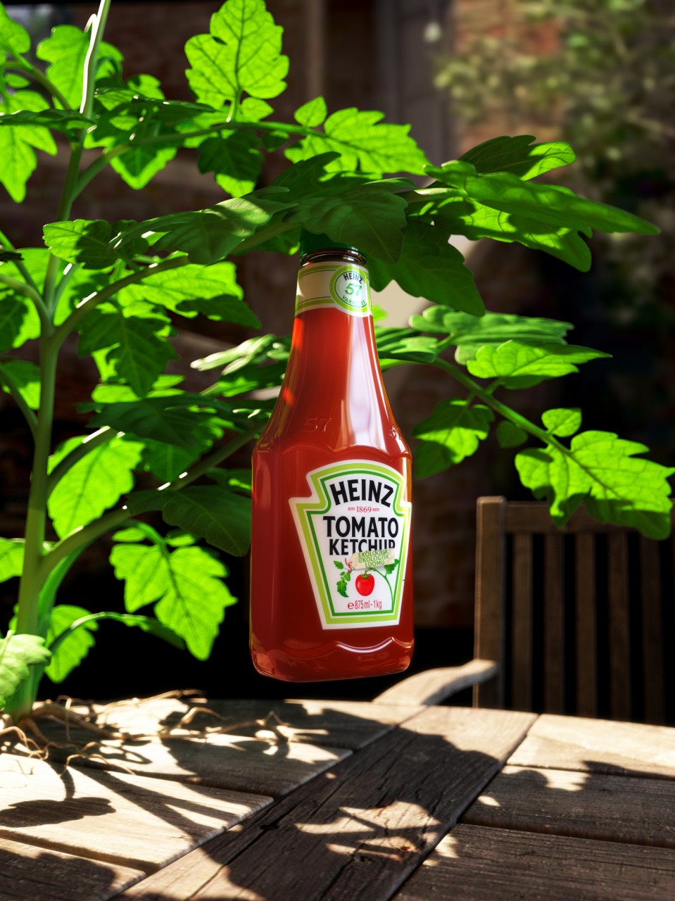 A bottle of Heinz ketchup in a tomato plant leaf ketchup tomat löv blad växt
