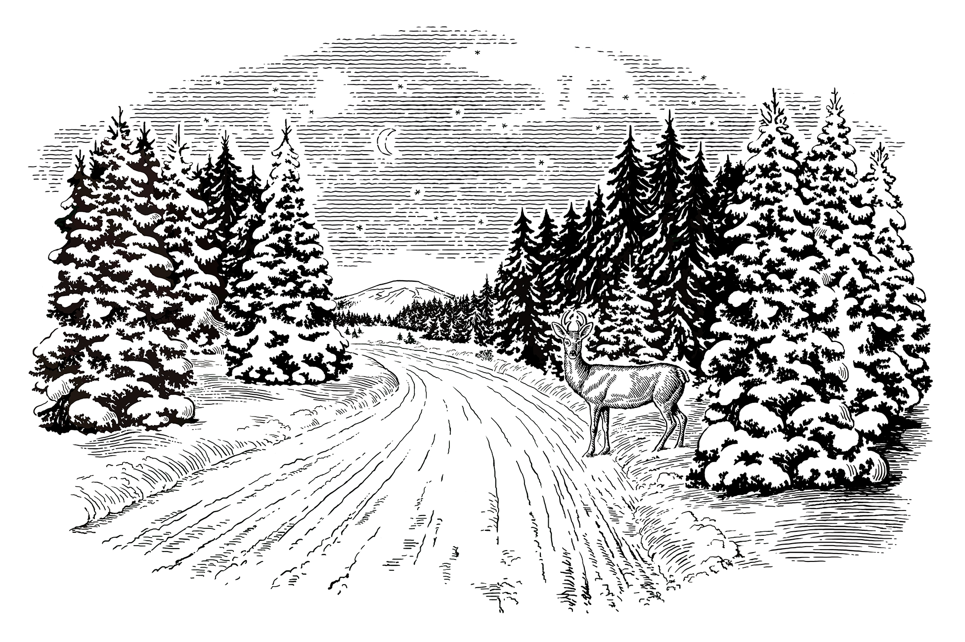 snowy road with a deer advertise VW