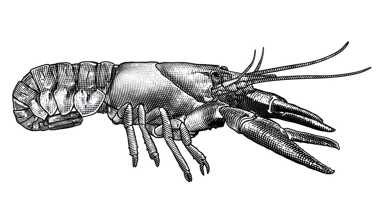 No alt text available