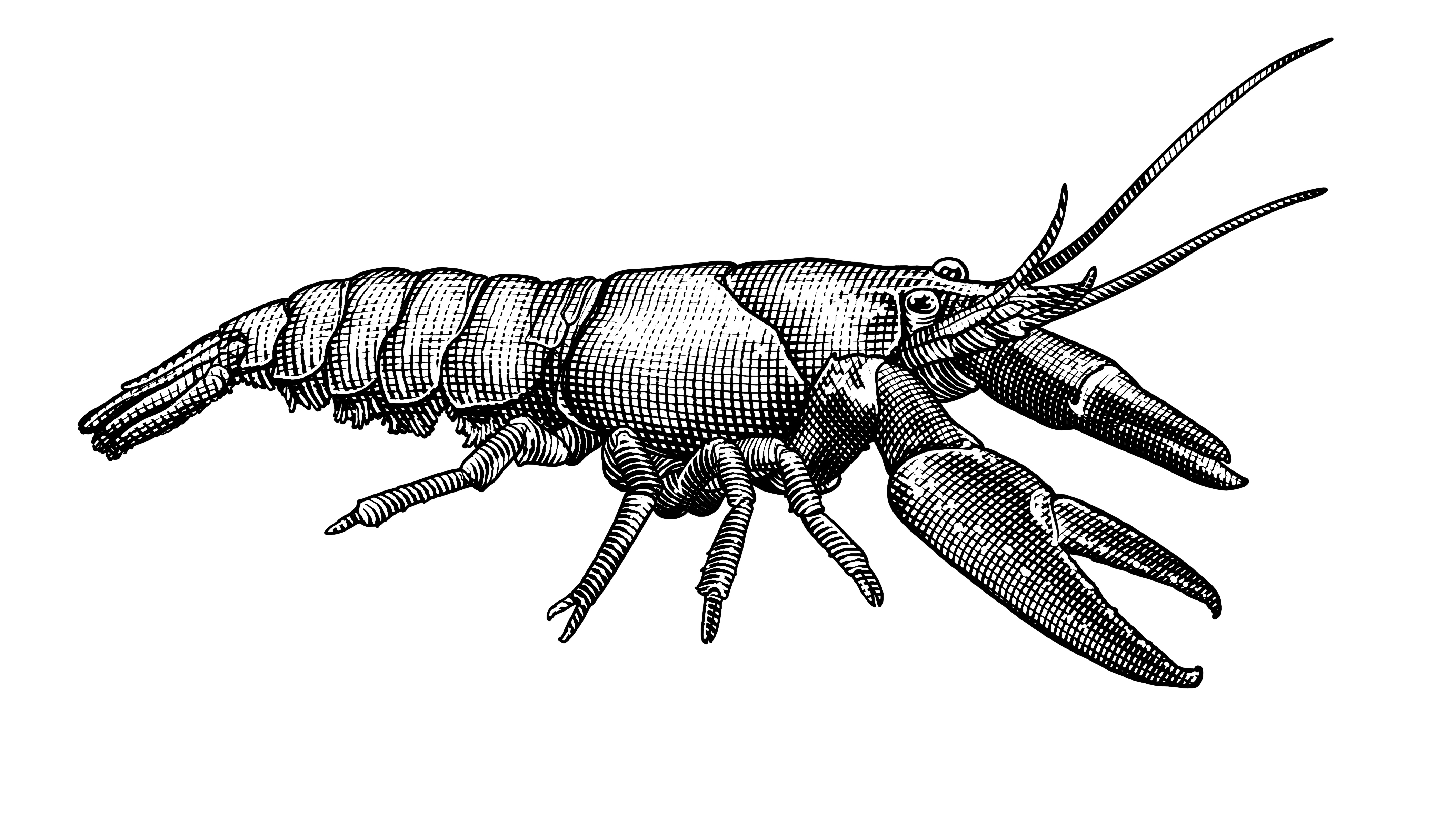 No alt text available