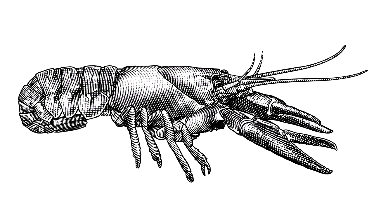 No alt text available