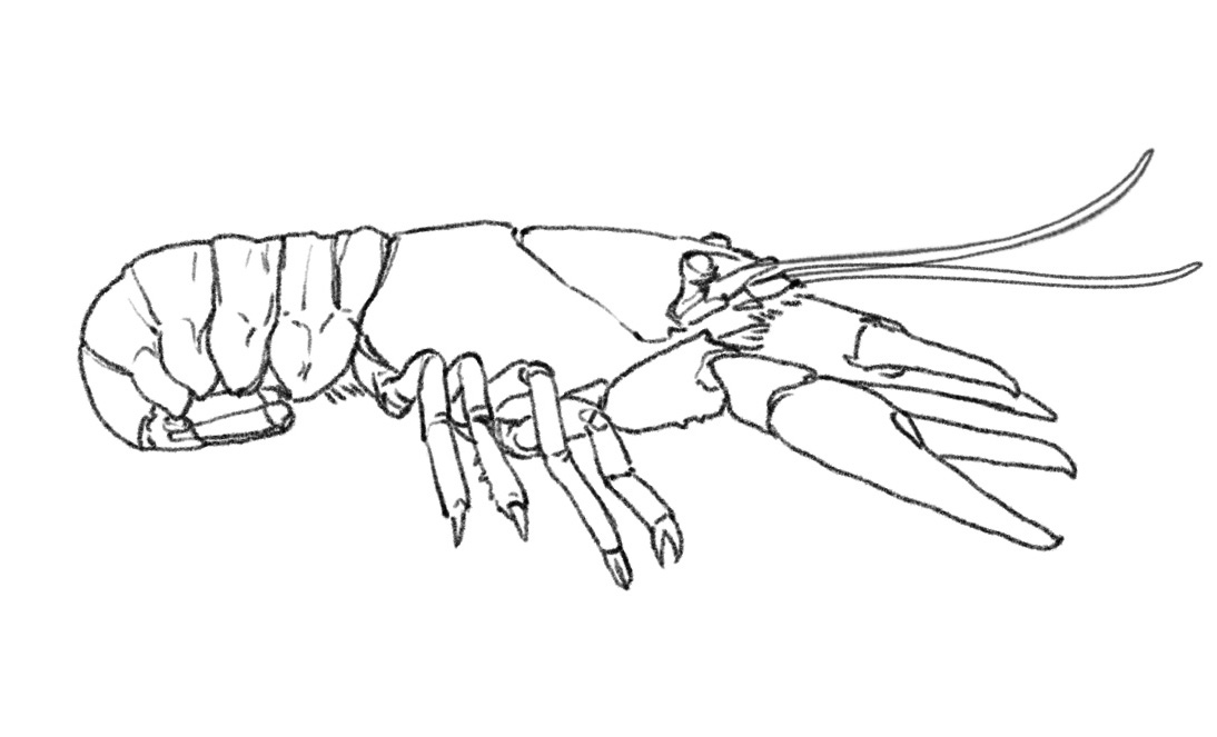 No alt text available