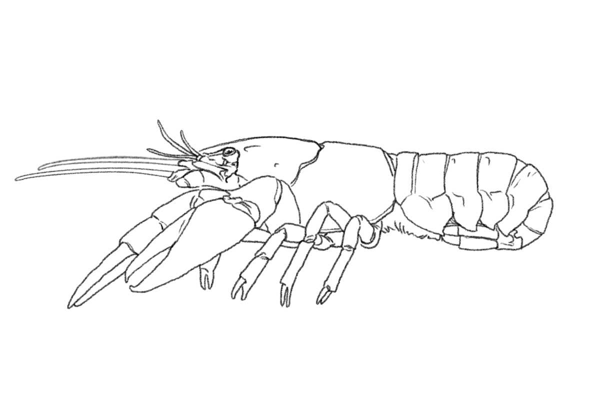 No alt text available