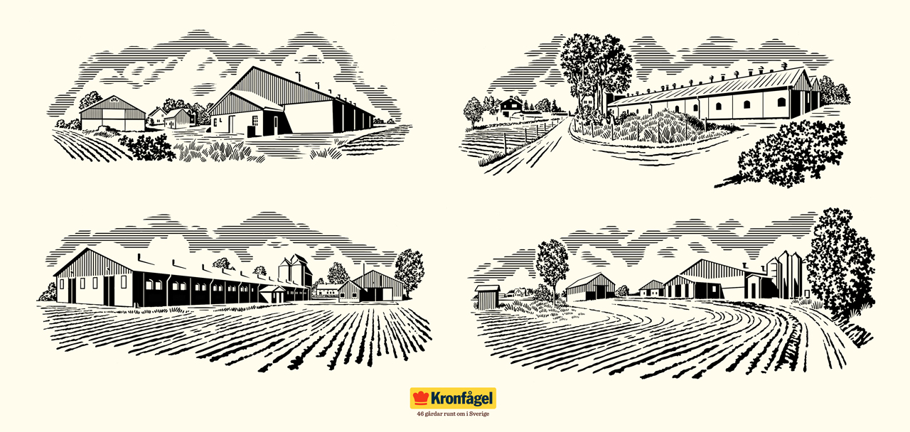 Illustrations for Kronfågel