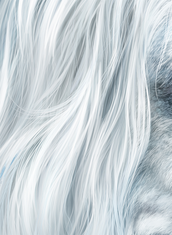 yeti