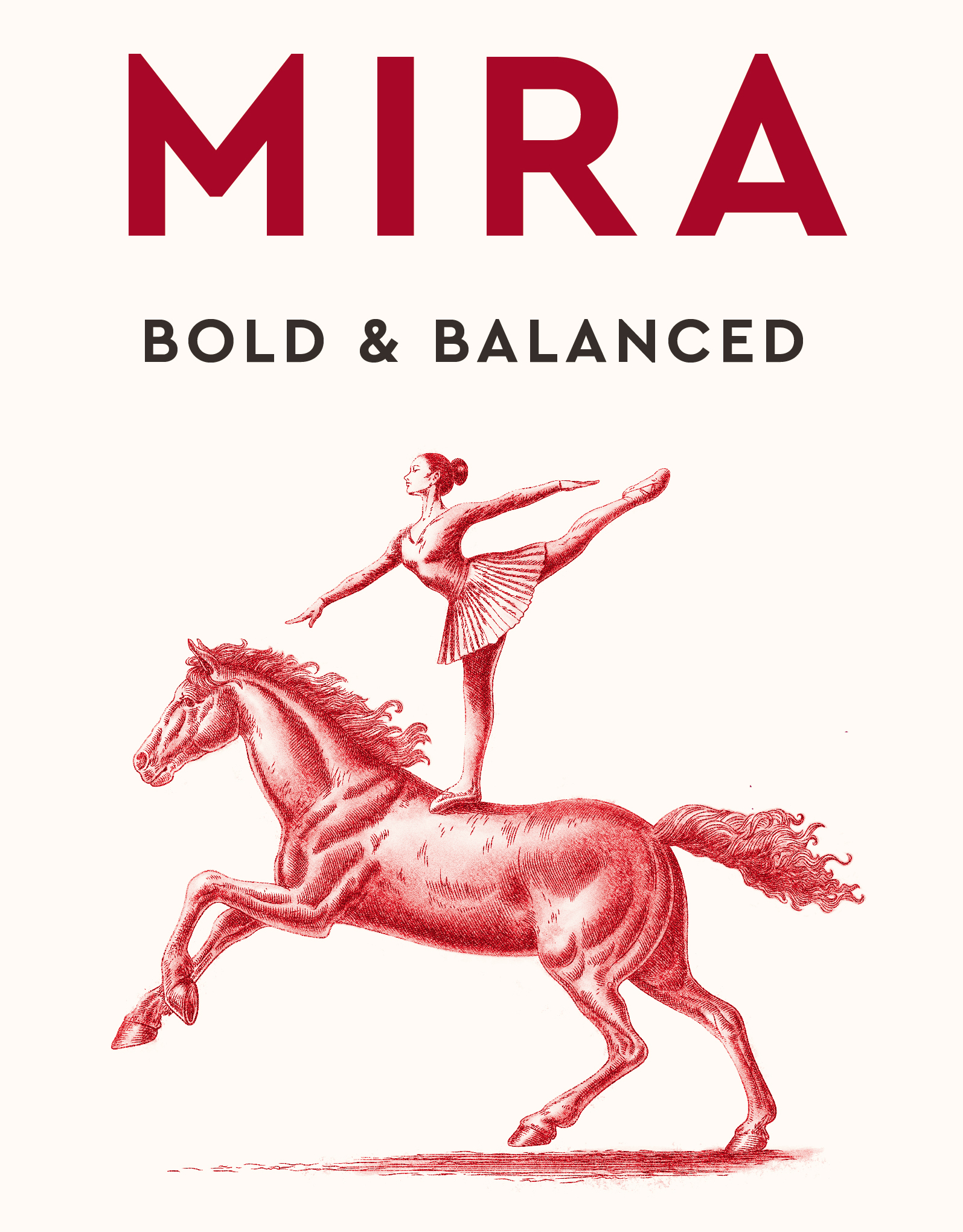 No alt text available