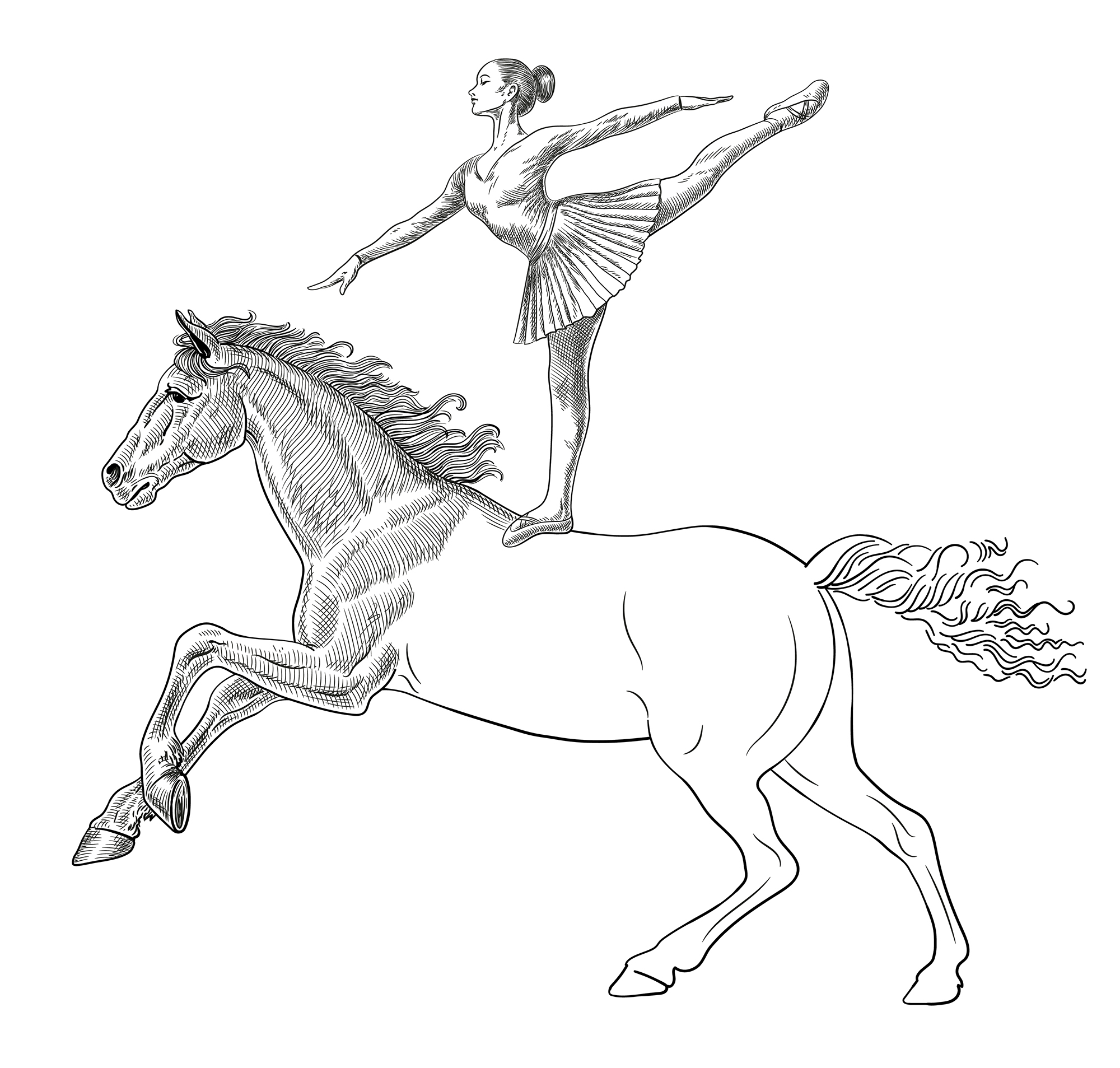 No alt text available