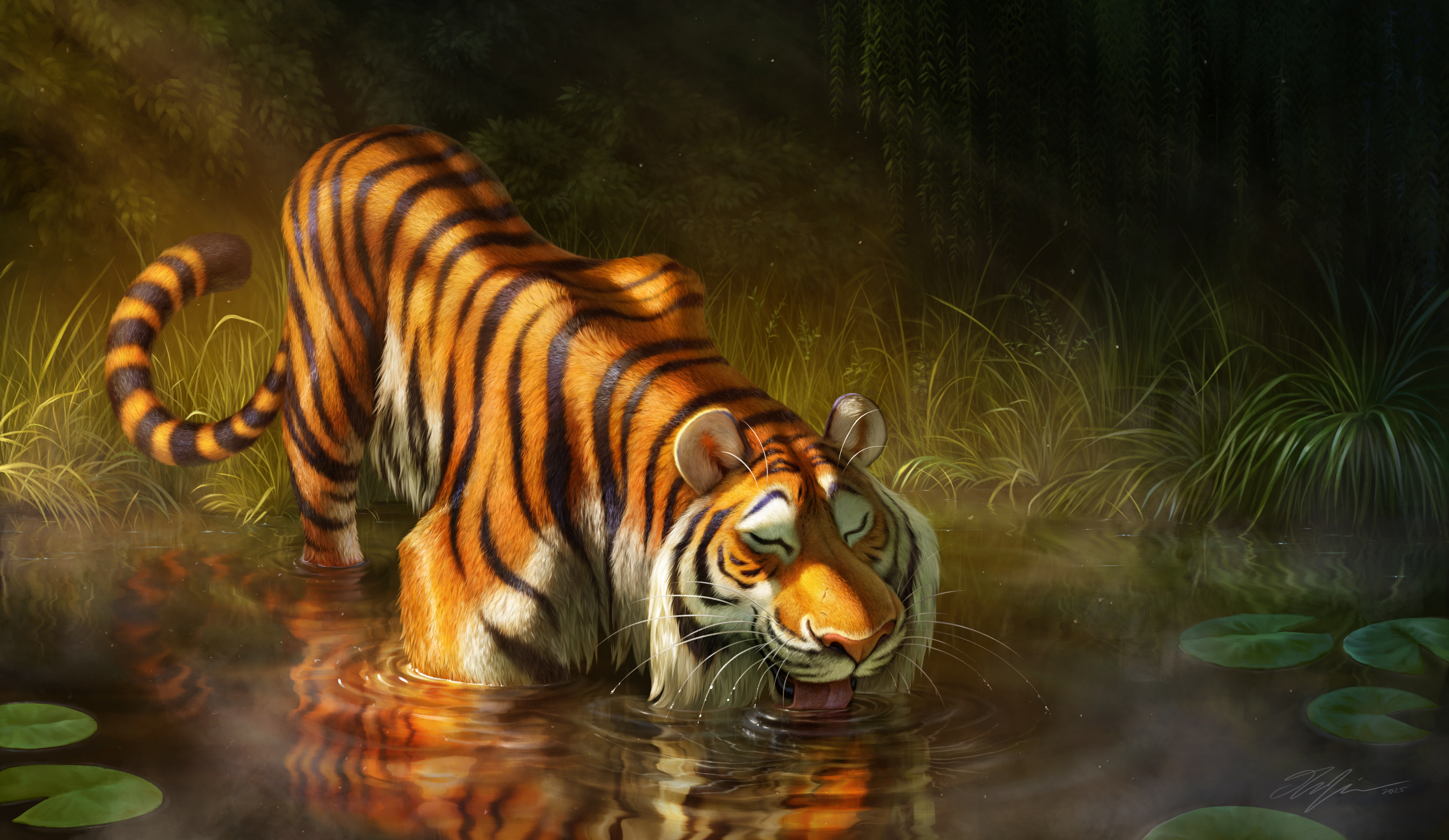 character design, tiger, animal design