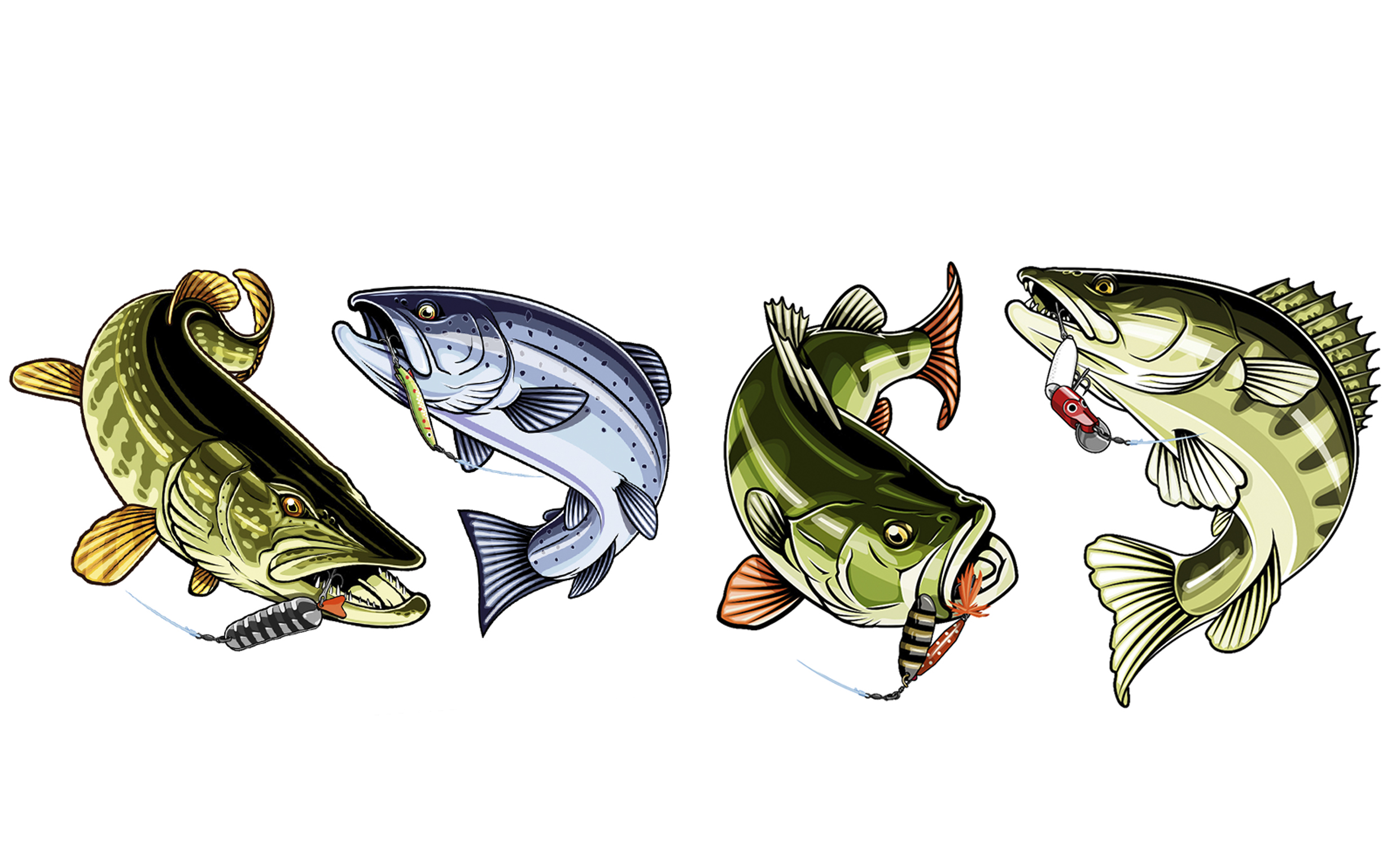 fishing perch pike trout zander