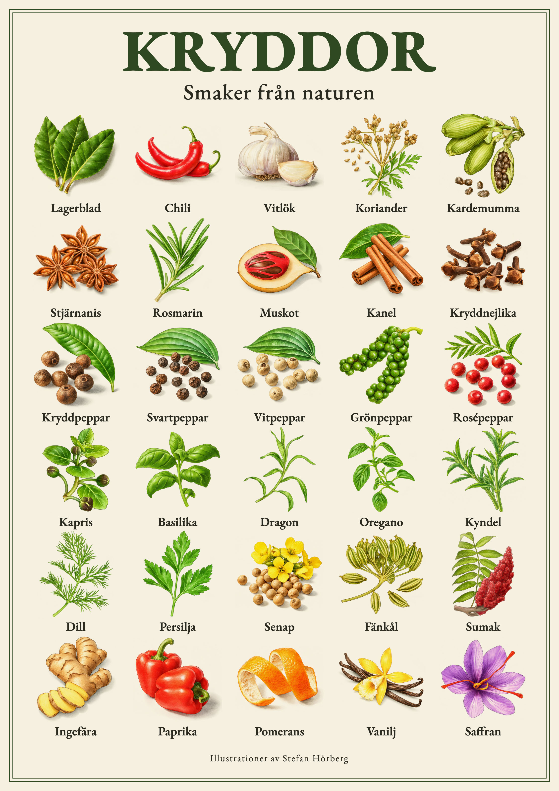 Herbs from Santa Maria kryddor