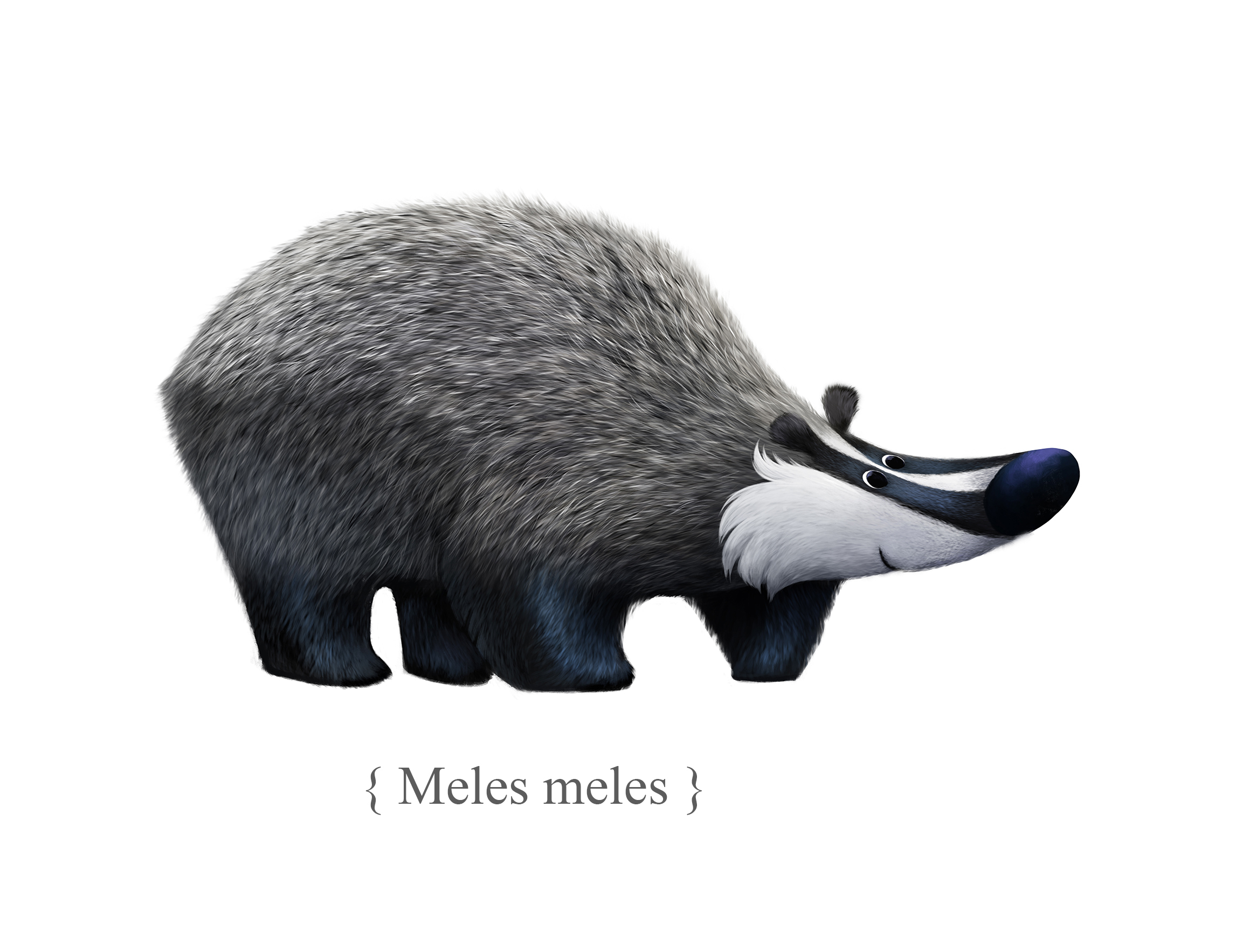 No alt text available