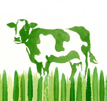 cow,