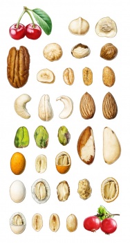 Nuts