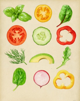 vegetable