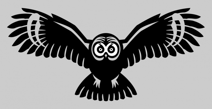 Owl,