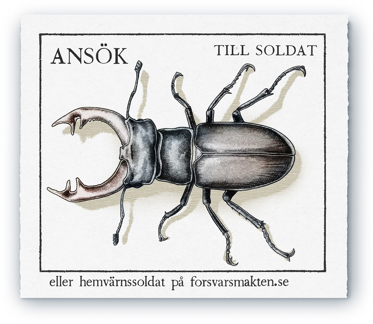 A stamp for försvarsmakten with a insect ekoxe insekt skalbagge bug