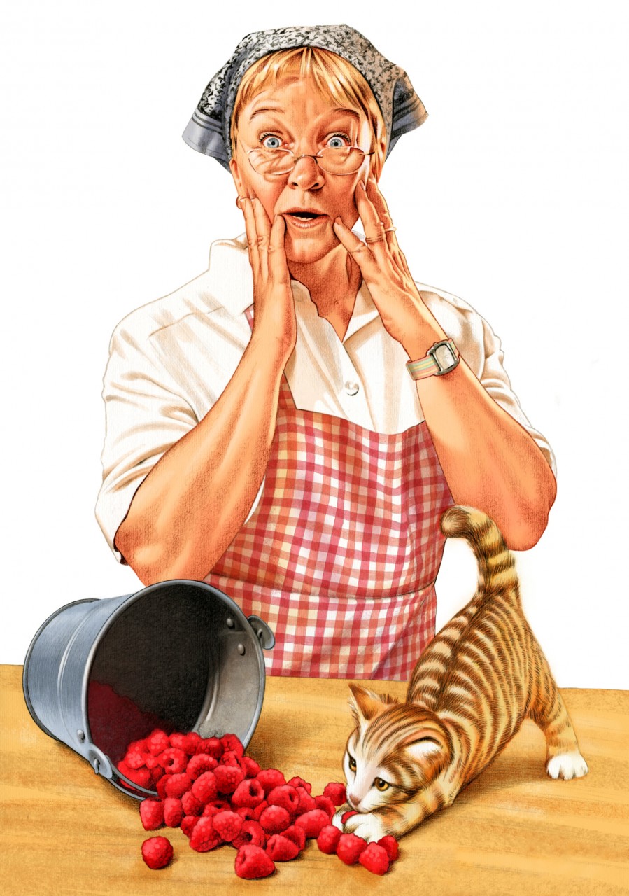 Package illustration for Swedjam raspberry