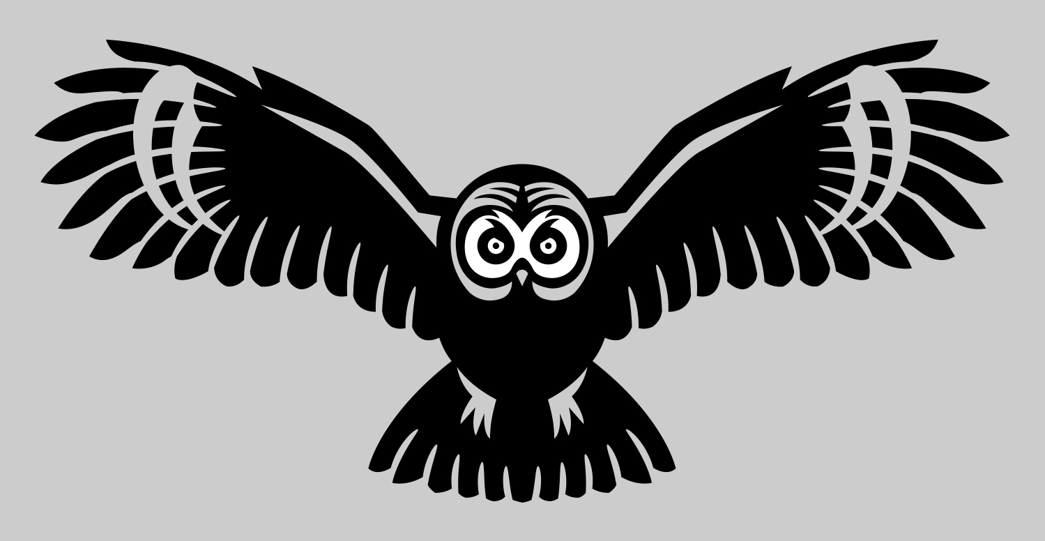 Owl, nature, clothing