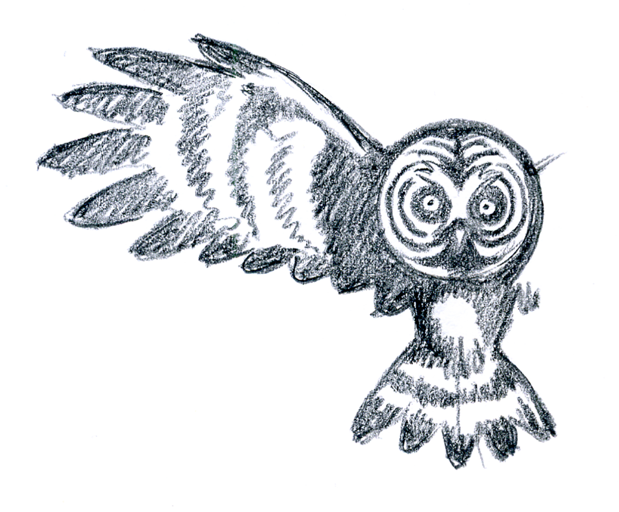 Owl,