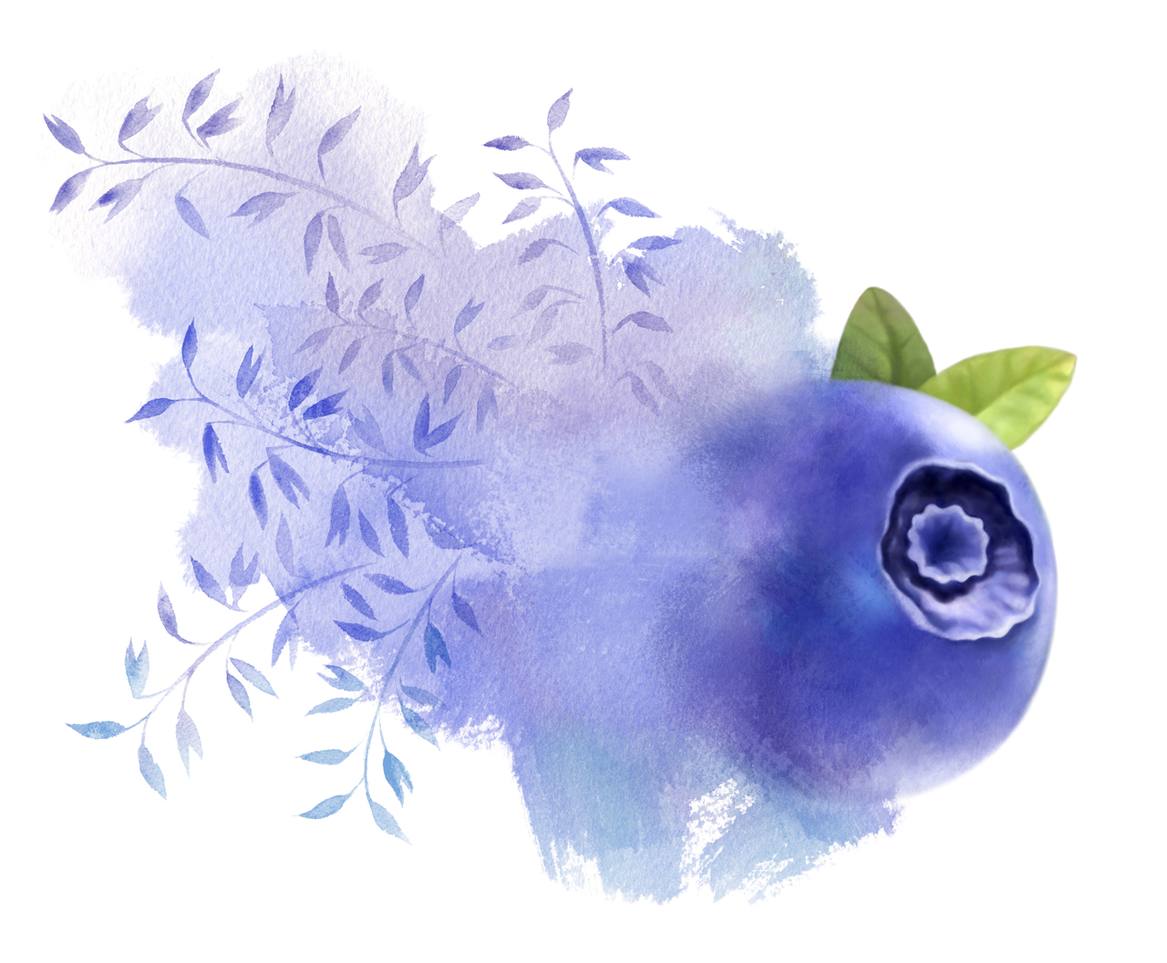 Illustration for a package Great Blueberries