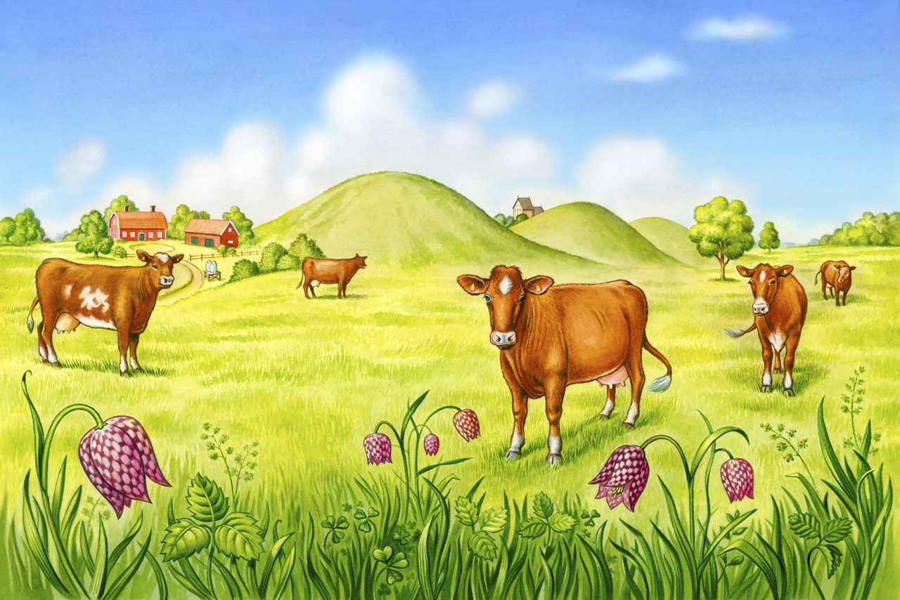 Illustration for a label milk Gefleortens mejerier with cows