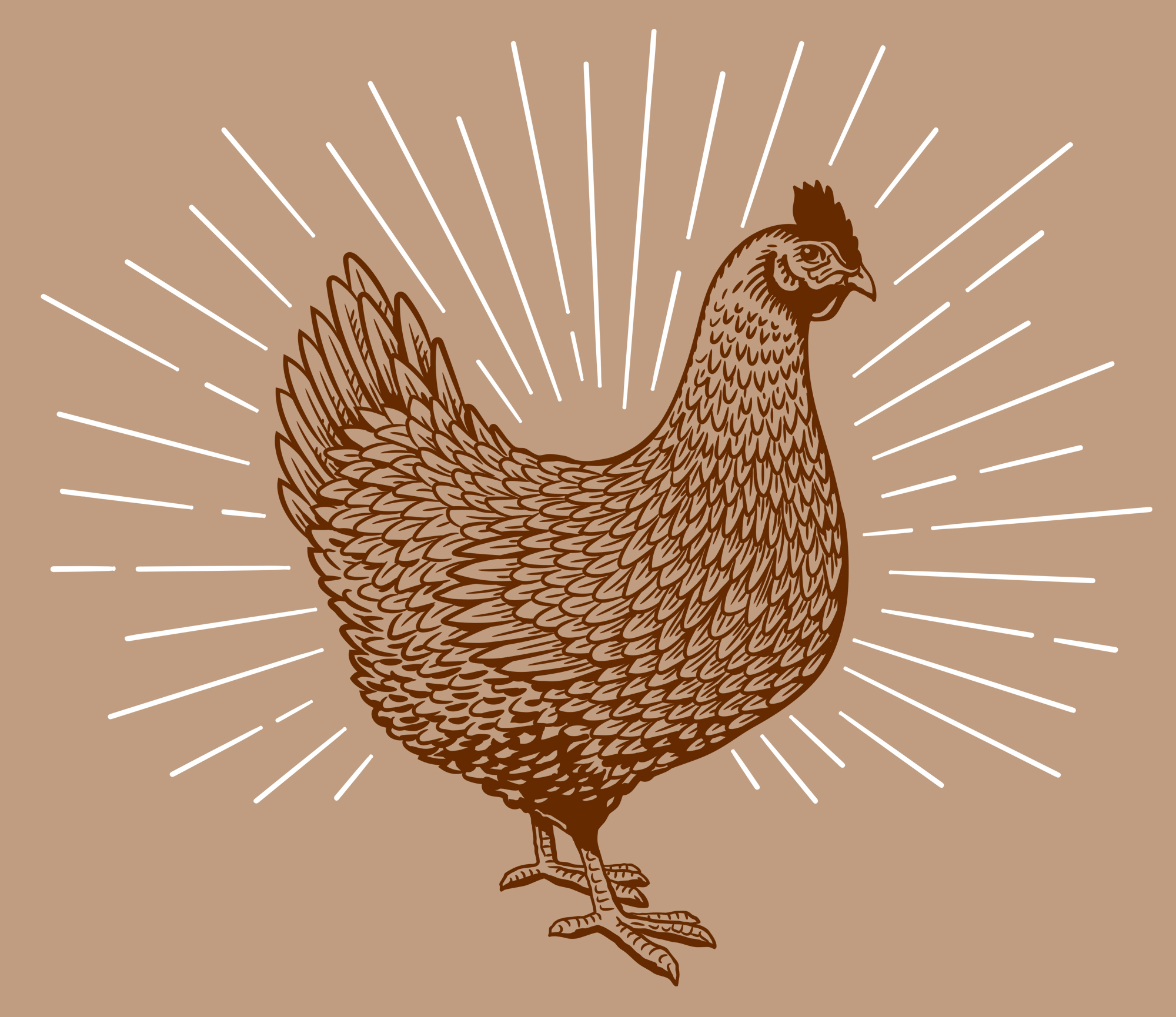 Chicken for a label Gyllda Lidl, etching.