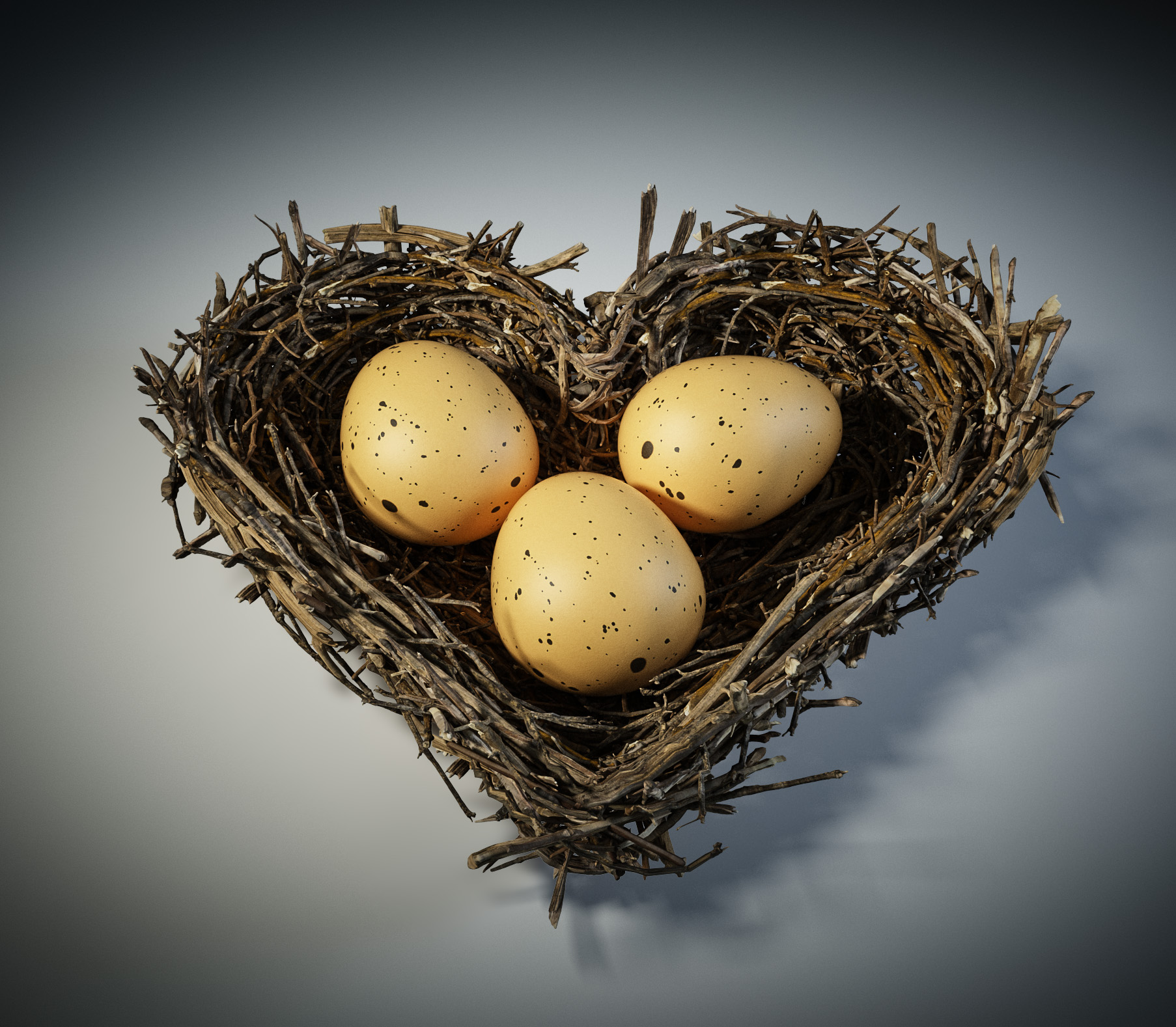 one heart formed lover Bird nest with egg fågelbo ägg hjärta