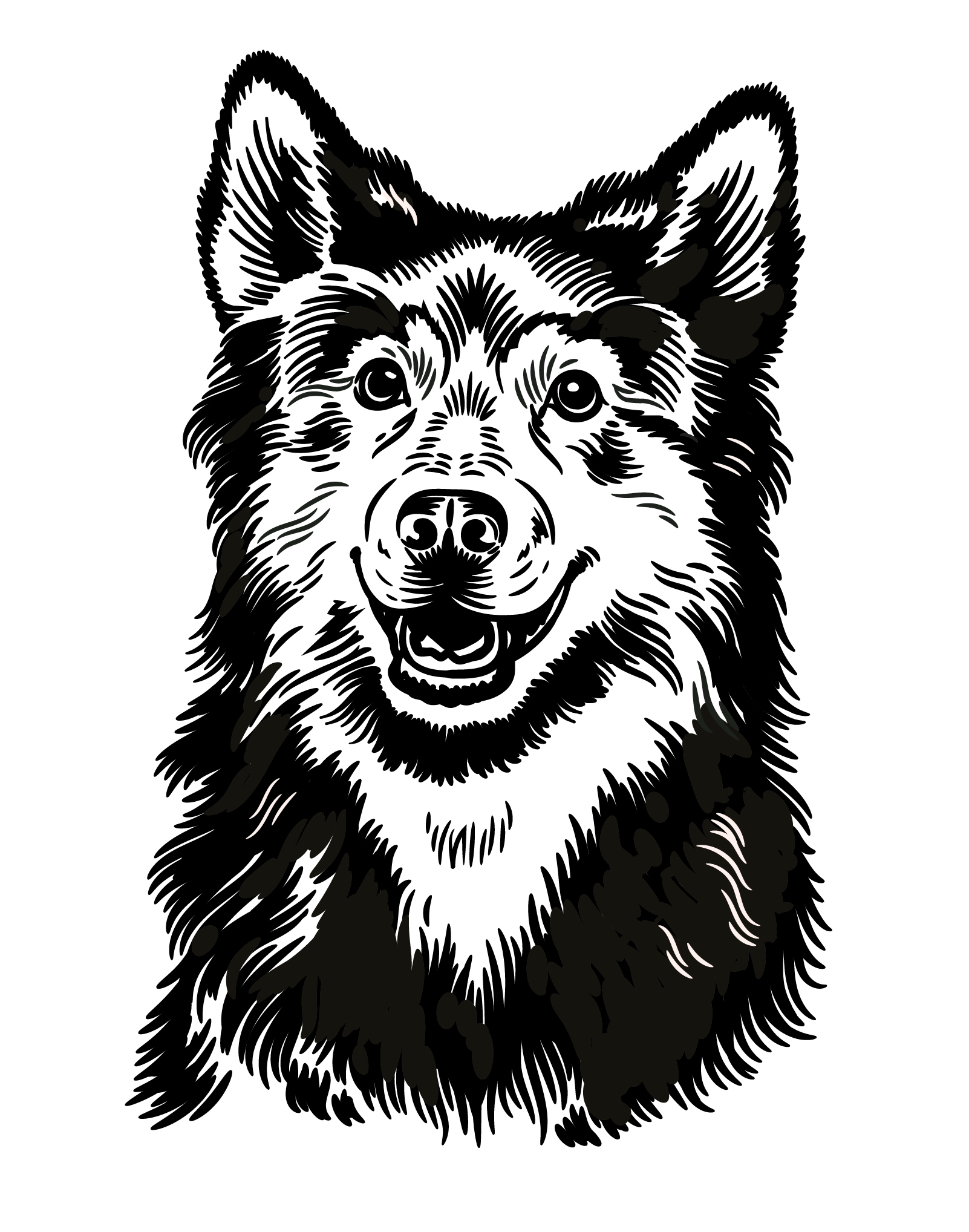 Black dog for a dogfood company Prima Pet.