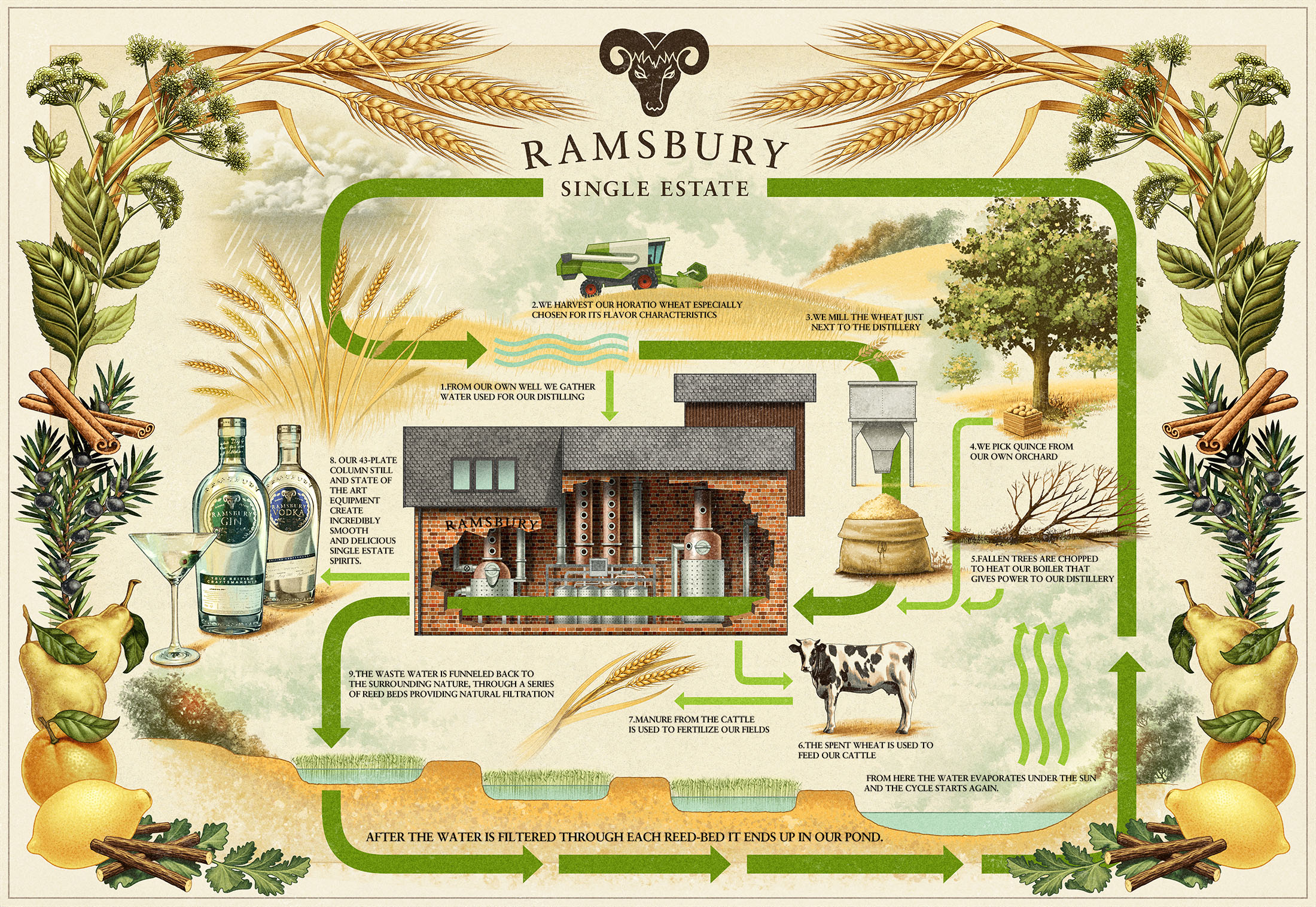 Ramsbury Gin with lemon wheat 