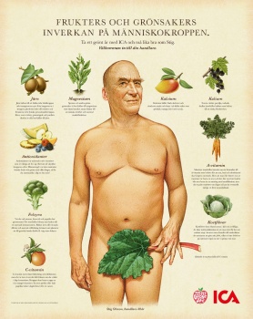 thecharactericastigwithfruit